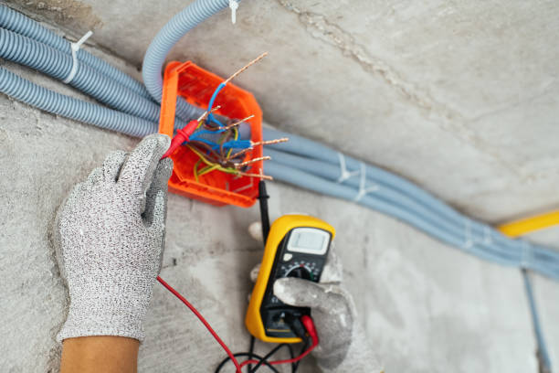 Best Electric Panel Repair  in North Fork, AZ